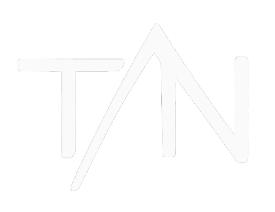 True North Silicon
